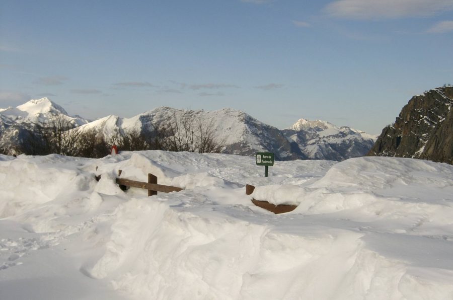 Carta abierta a los promotores del centro de esquí de fondo en Babia